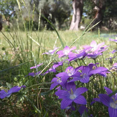 The Paradise Of Katerina Case de vacanță Frínion