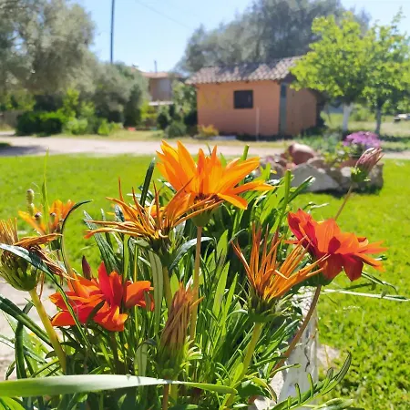 The Paradise Of Katerina Case de vacanță