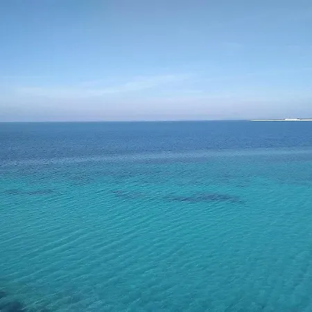 The Paradise Of Katerina Frínion