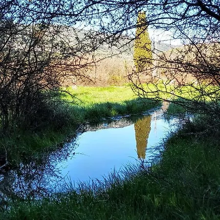 The Paradise Of Katerina *